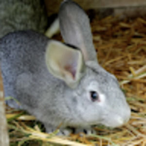 Meet your Posher, Xing